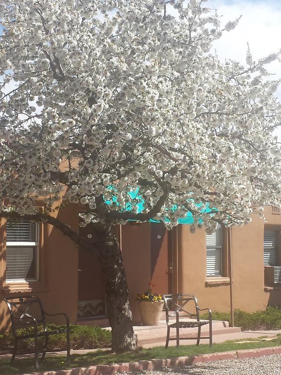 בלאנדינג Stone Lizard Lodge מראה חיצוני תמונה